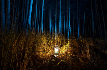夜晚黑暗森林的美丽景色被旧煤气灯照亮图片