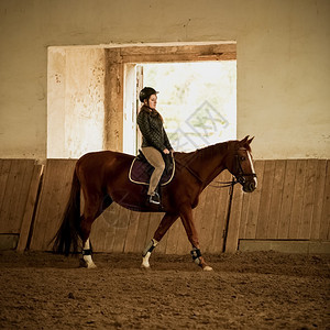 青年女骑师在室内体育场接受培训图片