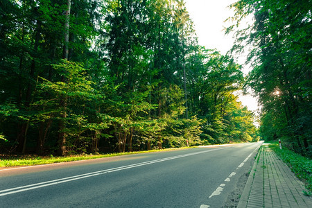 阳光照射的荒凉道路图片