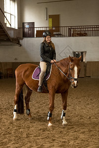 美丽的年轻女子骑棕色马在室内场图片