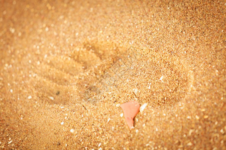 暑假休闲概念海滨金沙中脚印图片