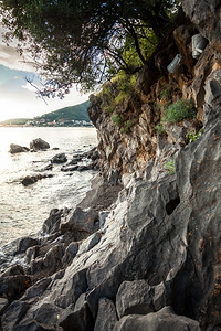 美丽的海景悬崖和日落的树木图片