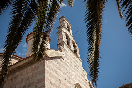 通过棕榈树叶对正教堂的美景图片