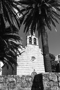 黑色和白照片由棕榈环绕的旧石教堂图片