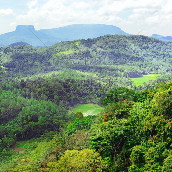 斯里兰卡山区岛屿上森林覆盖面积图片