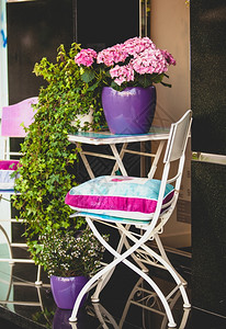 装饰金属椅子花园桌和锅中的植物图片