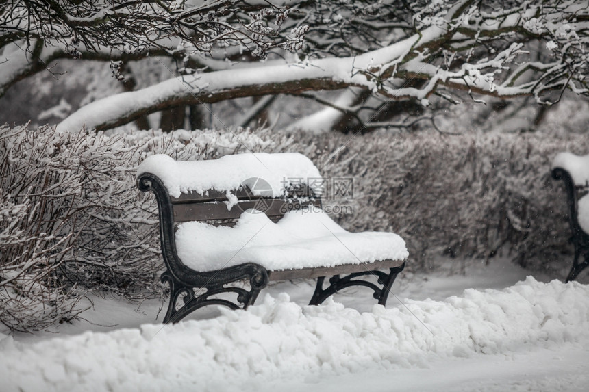 公园里被雪覆盖的长凳图片