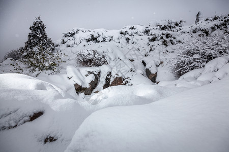 暴风雪中美丽的喀尔巴阡山脉图片