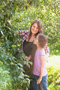 快乐笑的妈和女儿在阳光明媚的白天在苹果园上摆姿势图片