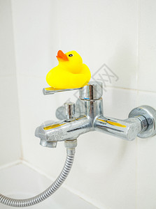 小橡胶鸭站在淋浴水龙头上的照片图片
