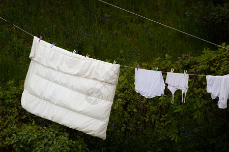 清洁湿洗衣服在户外的着线上挂在干燥的地方农村现场图片