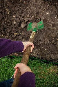 女用铁铲挖土的手亲照片图片
