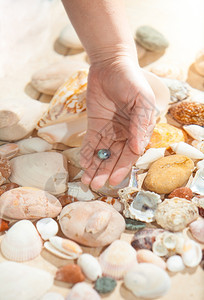 女手握黑珍珠在海滨的近距离照片图片