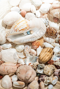 大贝壳中彩色珍珠的下水喷射图片