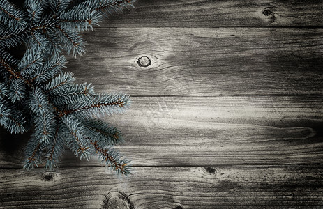 Rustic木板上圣诞树处的虚拟概念图片