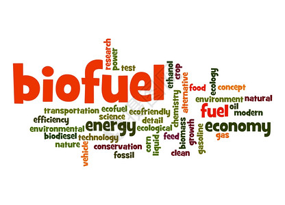生物燃料字云图片