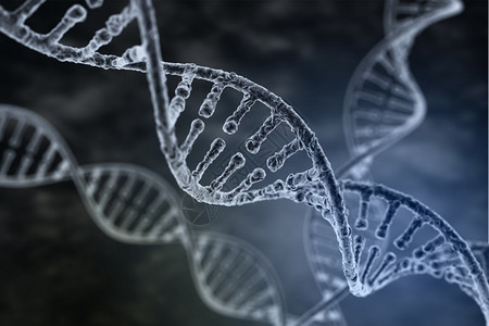 黑暗背景上的螺旋DNA链图片