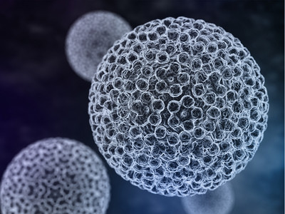 人类瘤病毒(HPV)是瘤病毒家族的DNA病毒,能够感染人类。背景图片