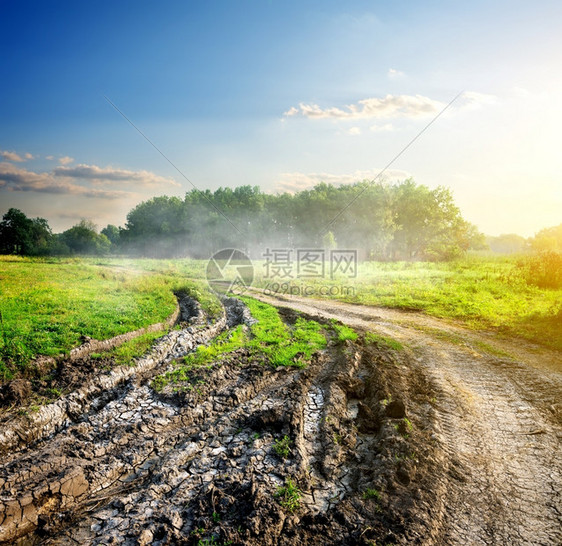 穿越绿春田的道路图片