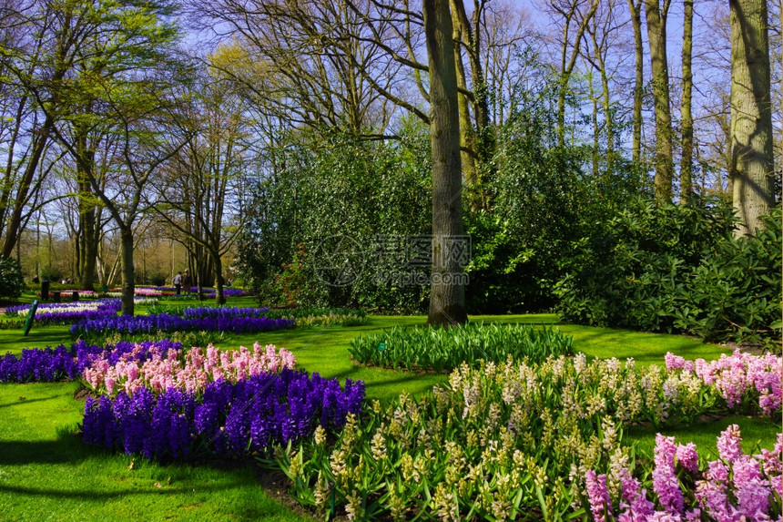 美丽的花园春天公风景图片