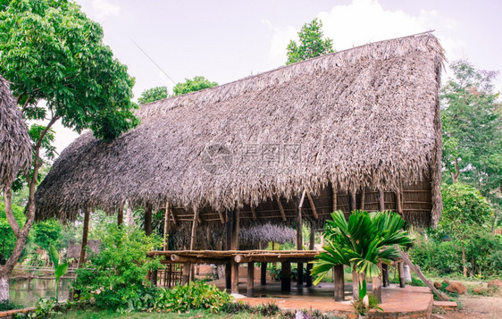 古石化的焦胶小屋图片