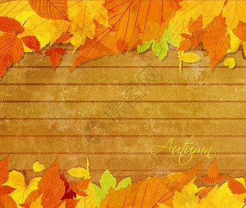 秋背景有橡树和叶图片