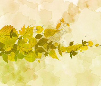 含叶子的秋幕背景图片