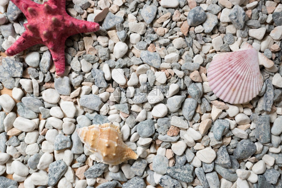 由多彩的卵石海壳和星覆盖的岸纹理图片