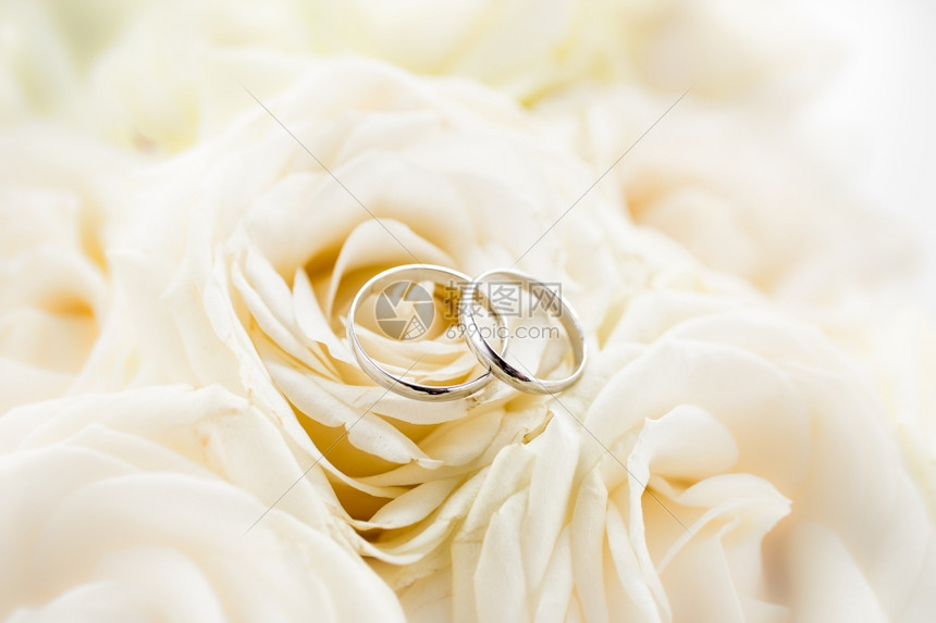两枚白玫瑰上的金结婚戒指图片