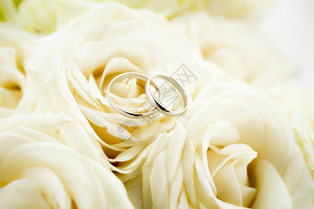 两枚金婚戒指的宏观照片躺在白玫瑰上图片