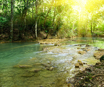 阳光小溪图片_阳光小溪素材_阳光小溪高清图片_摄图网图片下载