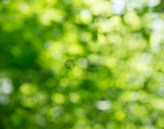 天然绿色背景图片