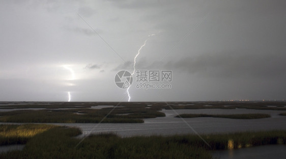 墨西哥湾的沼泽地区 被暴风雨图片