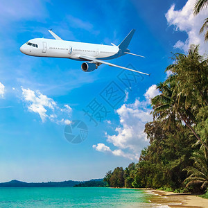 一架客机在海滩上飞过图片