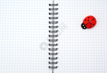 笔记本垫和迷你虫的纹理设计要素图片