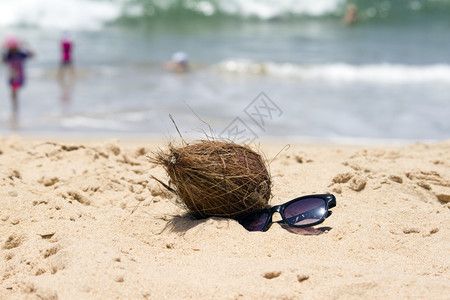 印度果阿椰子和太阳眼镜在美丽的海滩上图片
