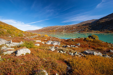 阳光明媚的秋天风景挪威GamleStrynefjellsvegen图片