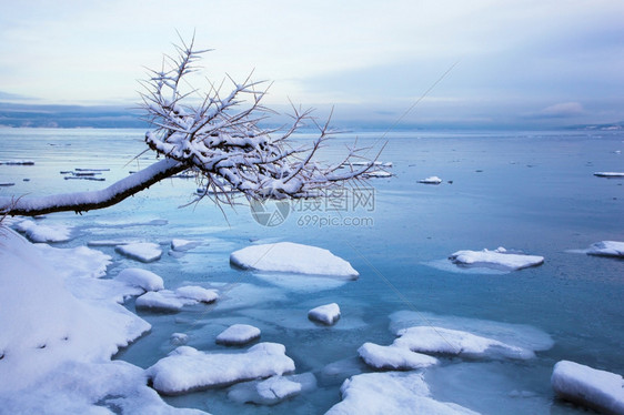 挪威冬季峡湾景观有树木和冰图片