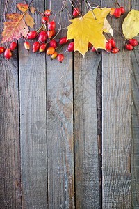 秋背景木制桌上的干叶图片