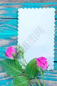 表格注的花和纸图片
