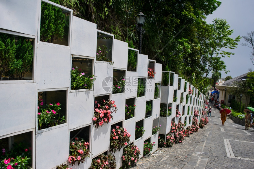 在越南大banahills的花墙高清图片下载-正版图片304076993-摄图网