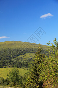 自然与环境绿色森林和山丘夏季区景观旅游和业图片