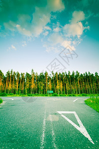 波兰沥青路标和森林地貌景观秋初图片