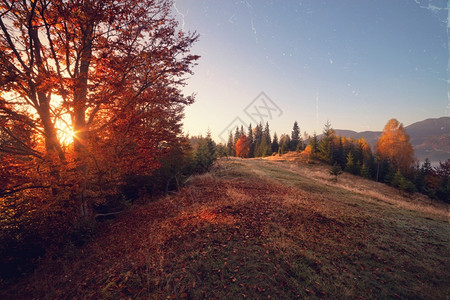 在山丘的阳光明媚秋天照片图片