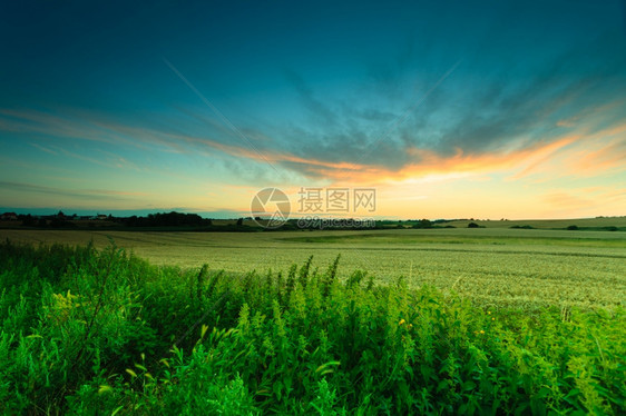 夜晚风景美丽的黄色日落或夏草原的出图片