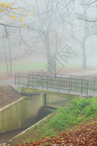 秋雾清晨公园的徒步桥图片
