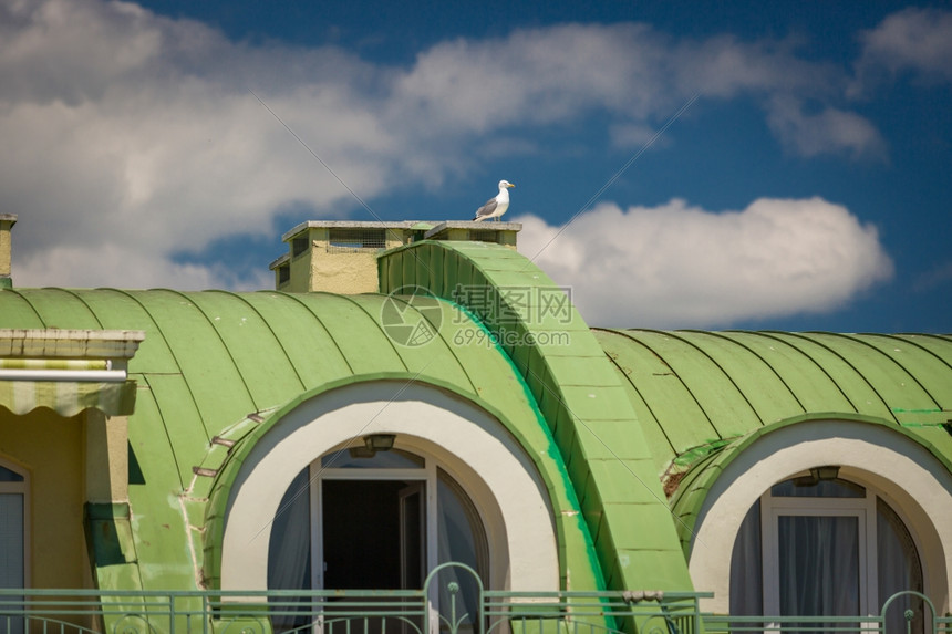 大海鸥坐在经典建筑的绿色金属屋顶上图片