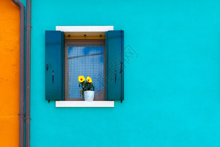 在著名的意大利威尼斯岛布拉诺的蓝色和橙房屋墙上装有百叶窗和鲜花的玻璃图片