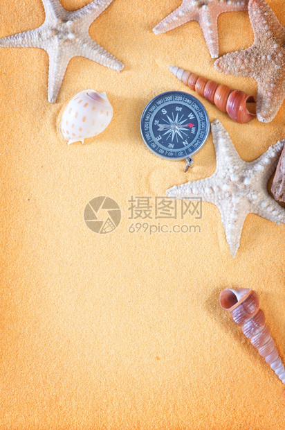色海壳和星夏季背景图片