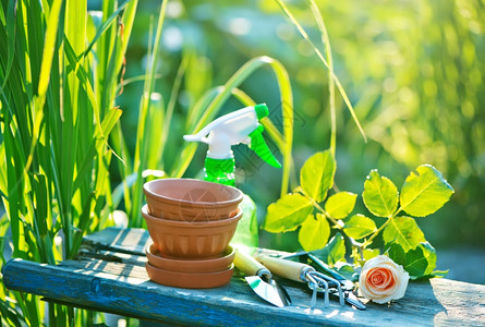 花园木背景上的花园工具图片